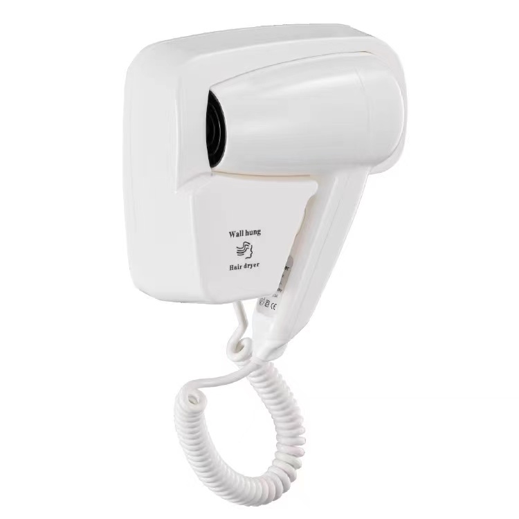 Hair Dryer (SN-3002)