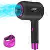 Hair Dryer (ZACE-3009)