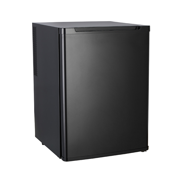 Sachikoo 30L High Quality Portable Mini Bar Fridge Electric Cosmetic Foaming Door Refrigerator 