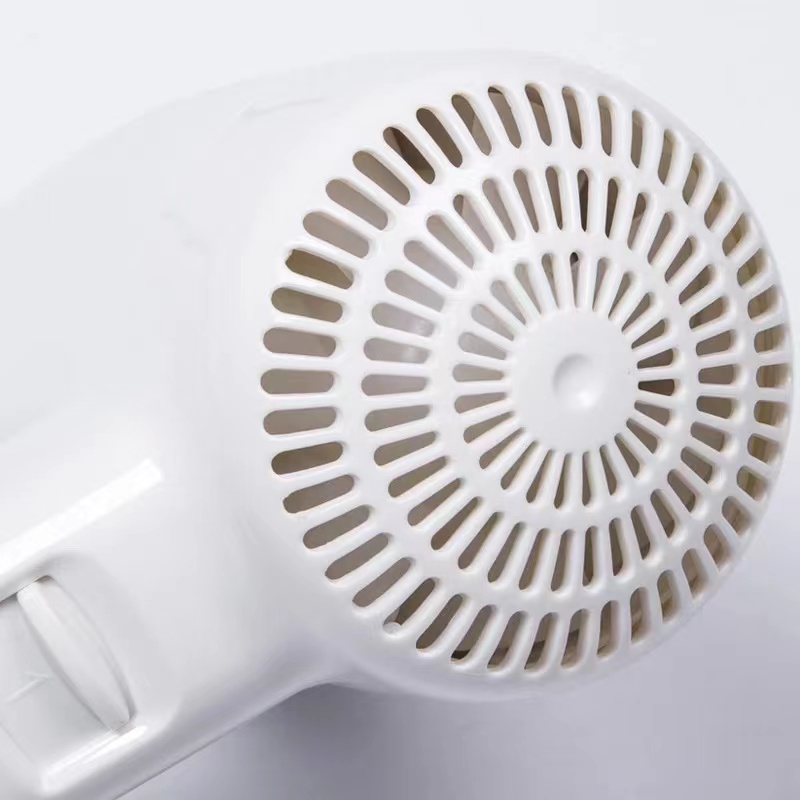 Hair Dryer (SN-3002)