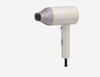 Hair Dryer (ZACE-3019)