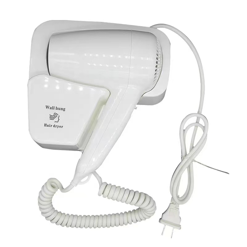 Hair Dryer (SN-3002)